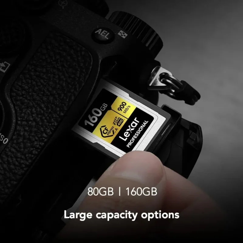 CARTE MÉMOIRE LEXAR CFE TYPE A GOLD 160GB 900MBS