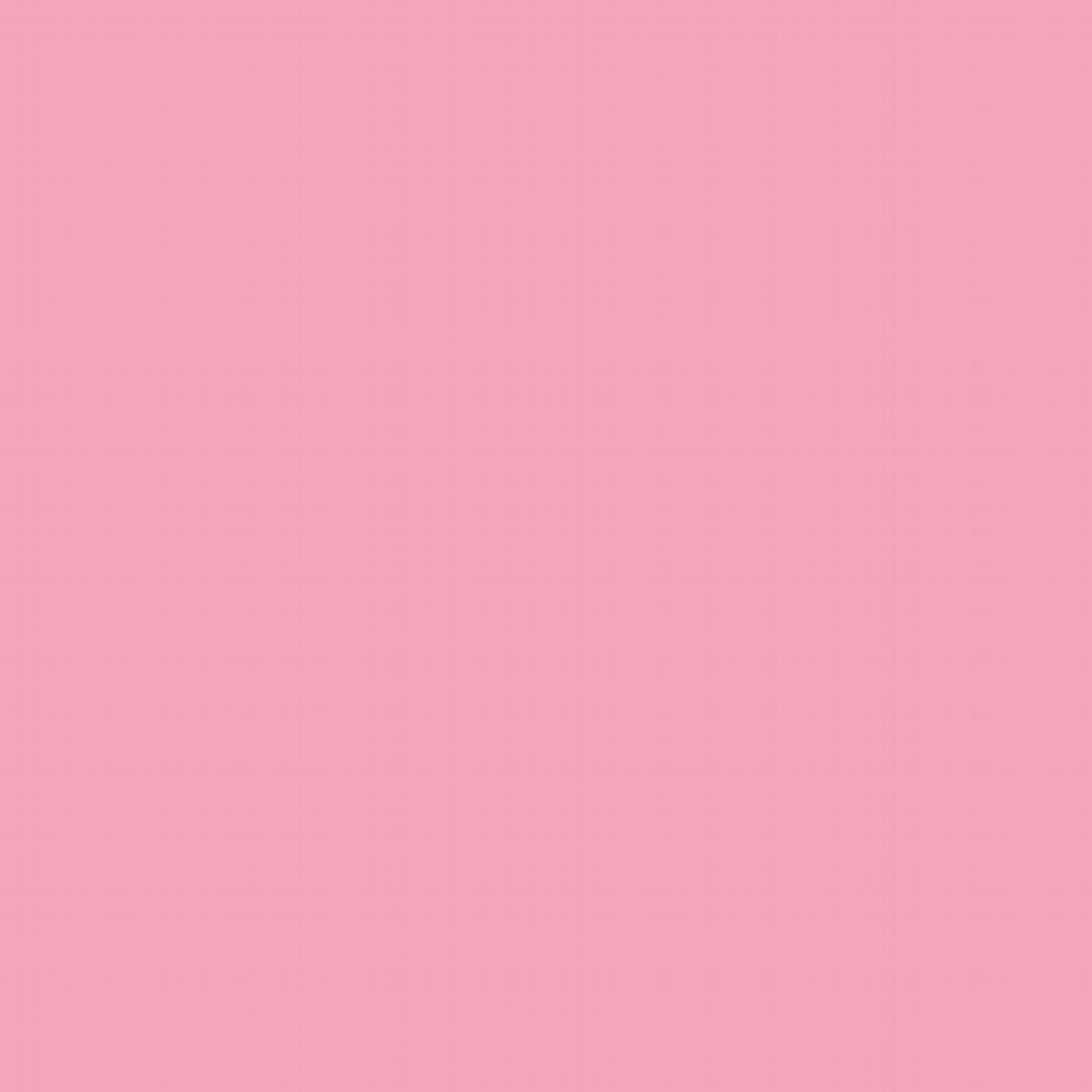 17-Carnation-Pink Fond Papier MINI 2,0M x 10M – couleur : (17) CARNATION PINK – Image 1